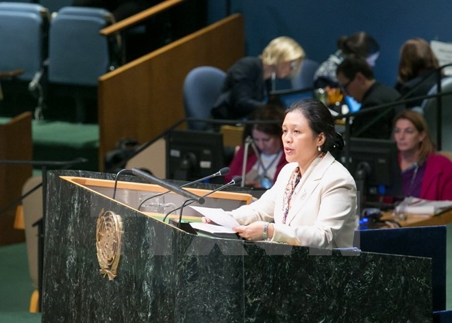 Vietnam affirms commitment to promoting human rights - ảnh 1